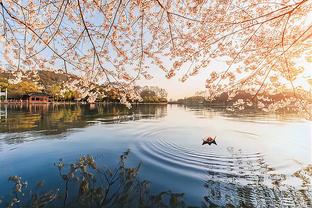 Hôm nay, trận đấu Giáng sinh ở Lake Kai, Porzingis đã trở lại sau khi vắng mặt.